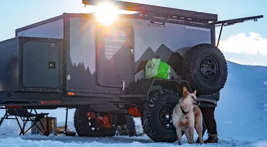Tips for Camping with Dogs