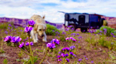 How to get off the grid post-quarantine